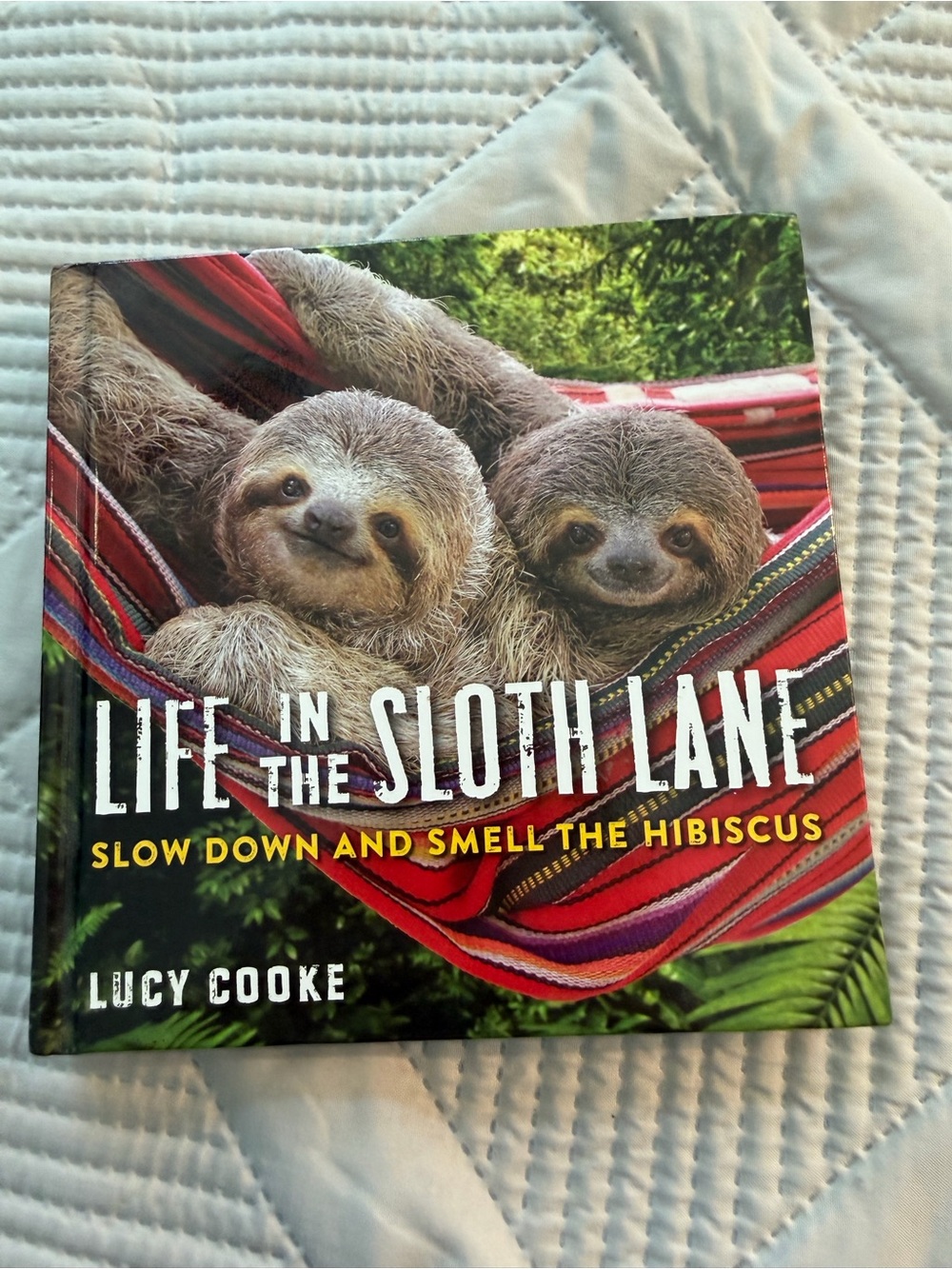 Life in the Sloth Lane by Lucy Cooke — Adorable Hardcover Book About Sloths